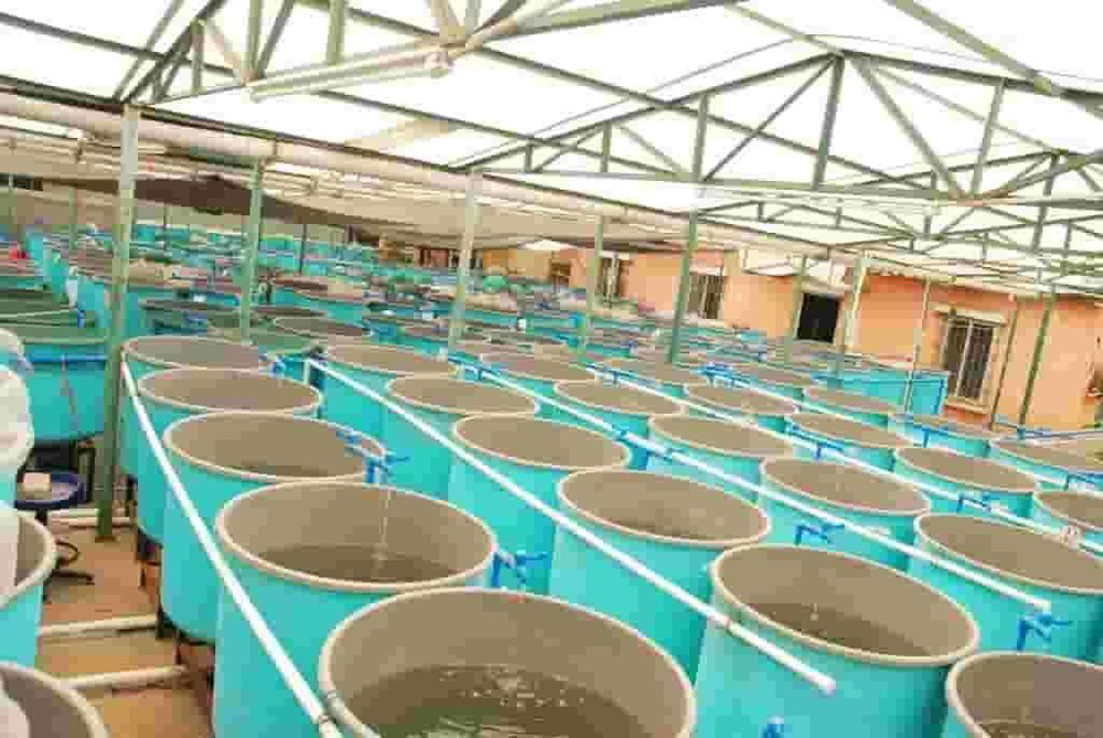 plastic tanks to the farming beds